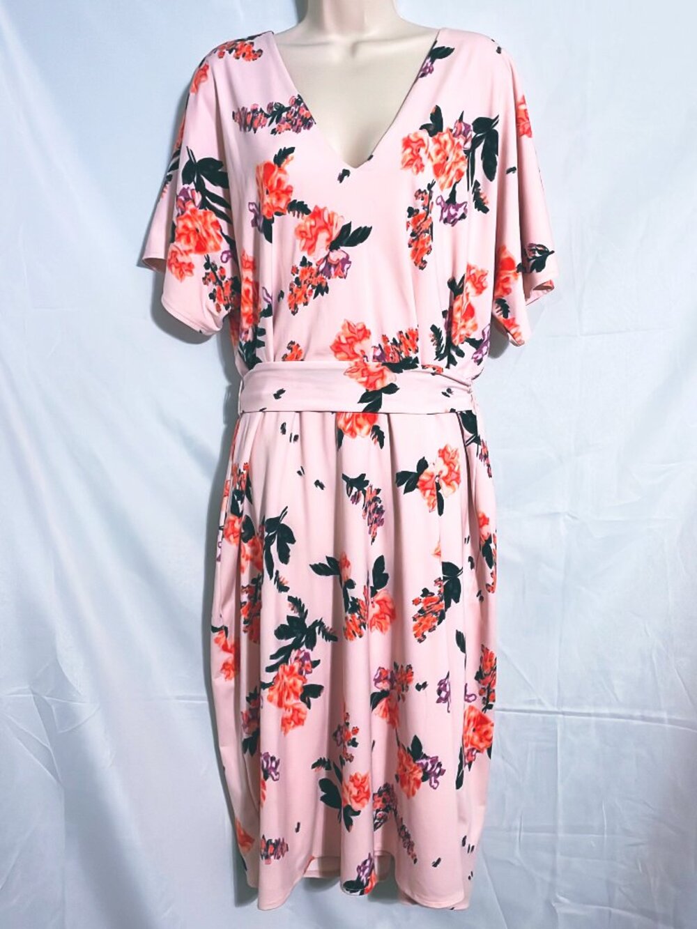 Rachel Roy Pink Floral Dress Size 1X